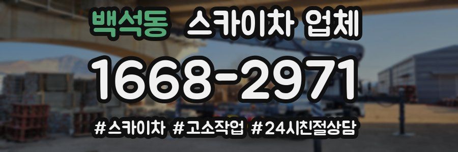 백석동 스카이차 업체