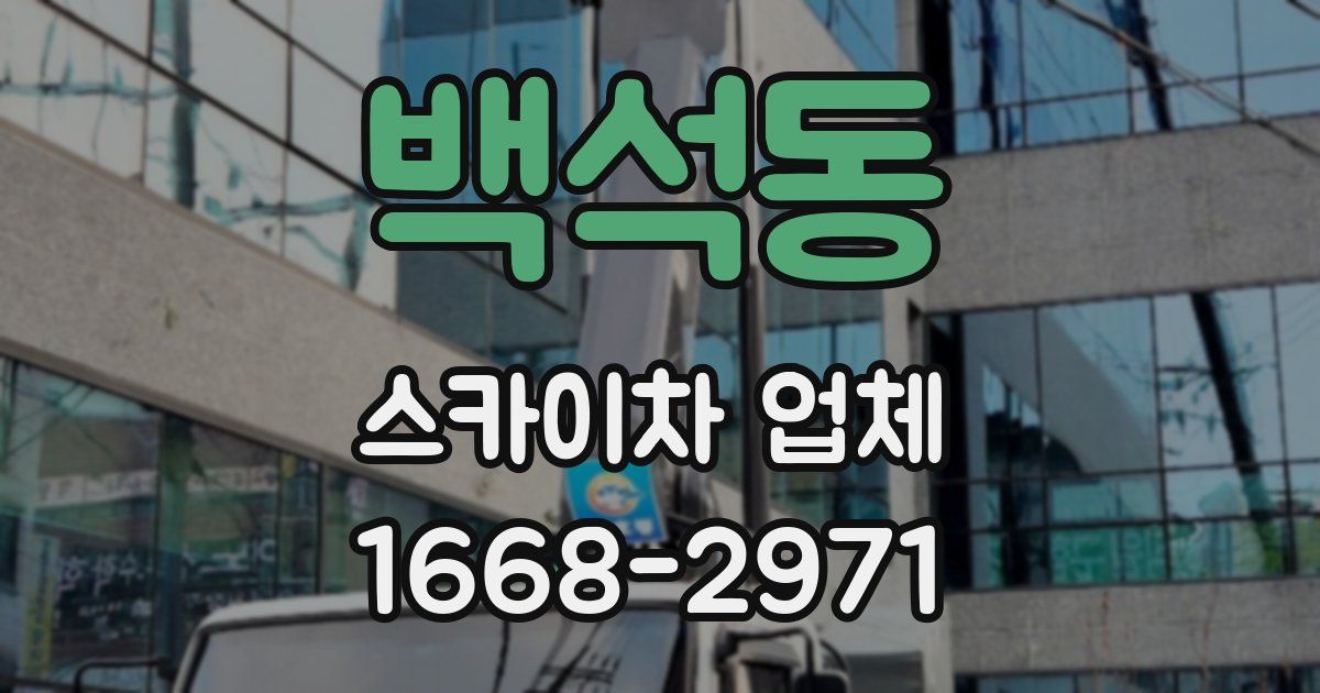 백석동 스카이차 업체