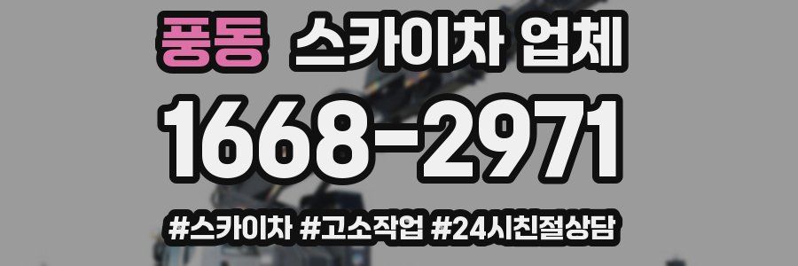 풍동 스카이차 업체