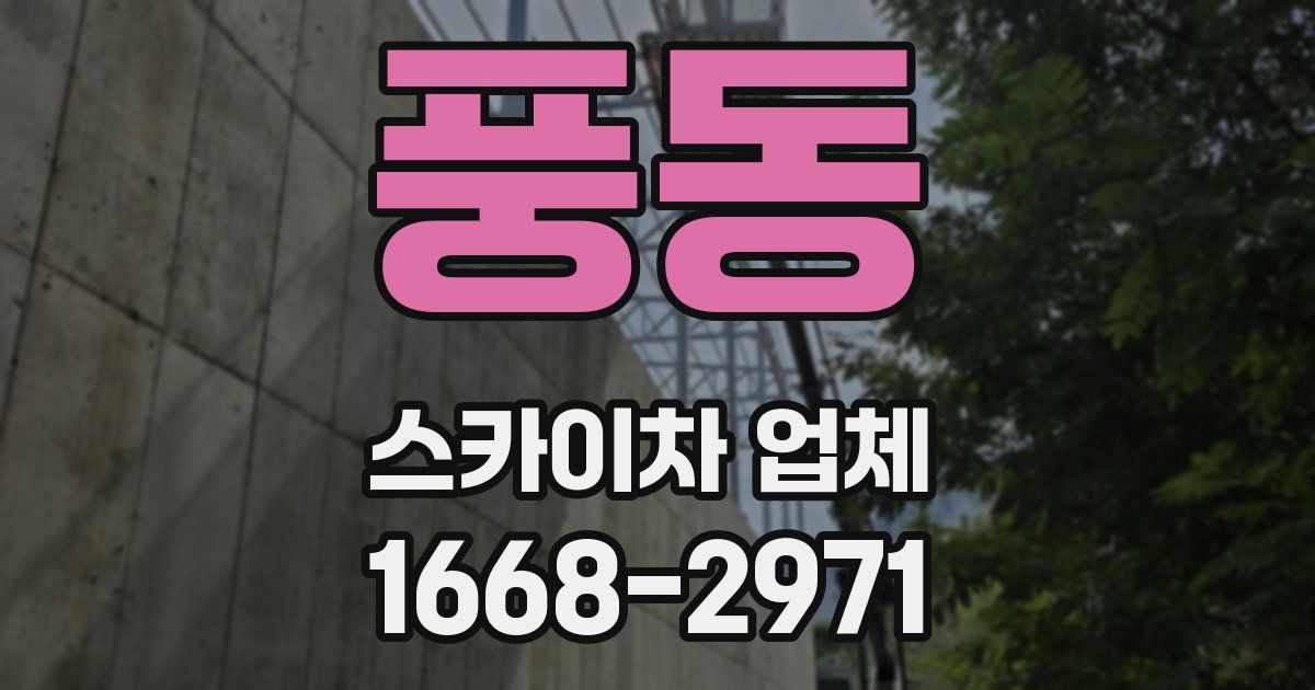 풍동 스카이차 업체
