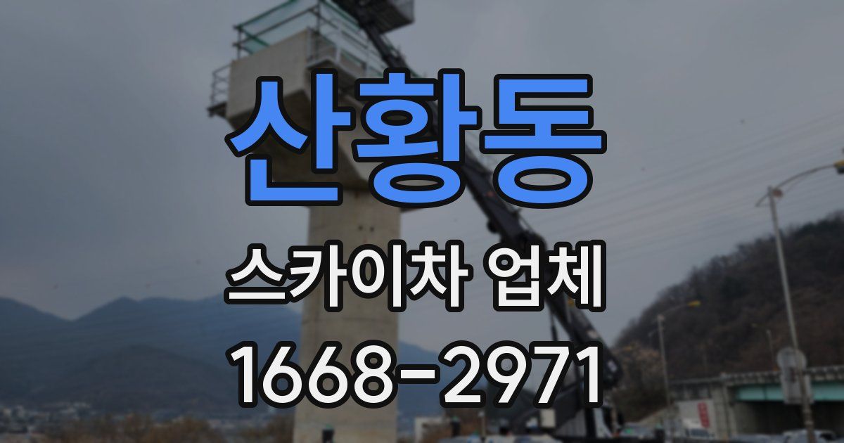 산황동 스카이차 업체
