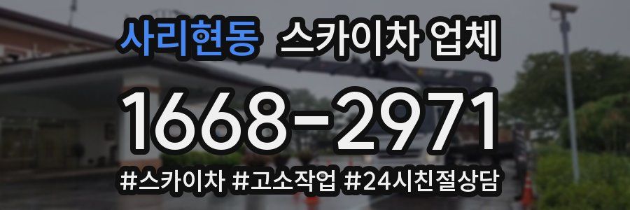 사리현동 스카이차 업체