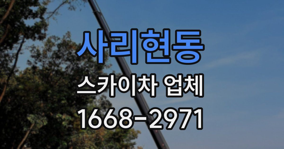 사리현동 스카이차 업체