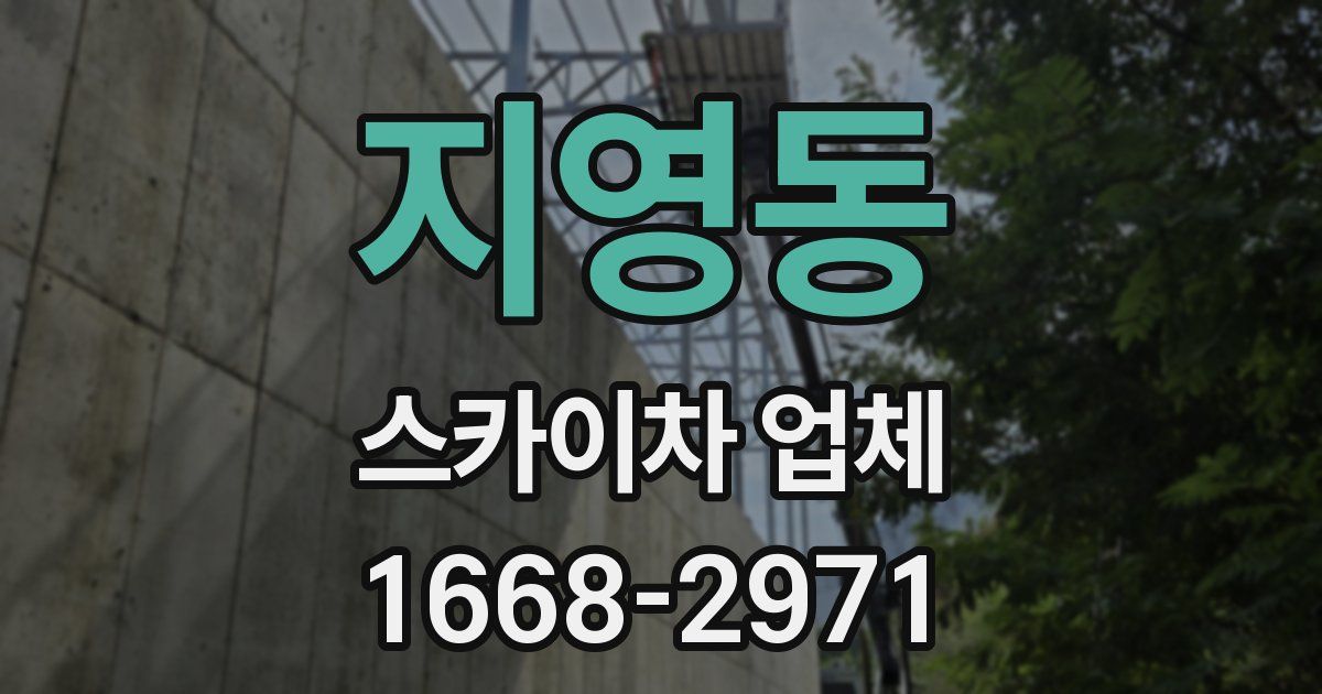 지영동 스카이차 업체