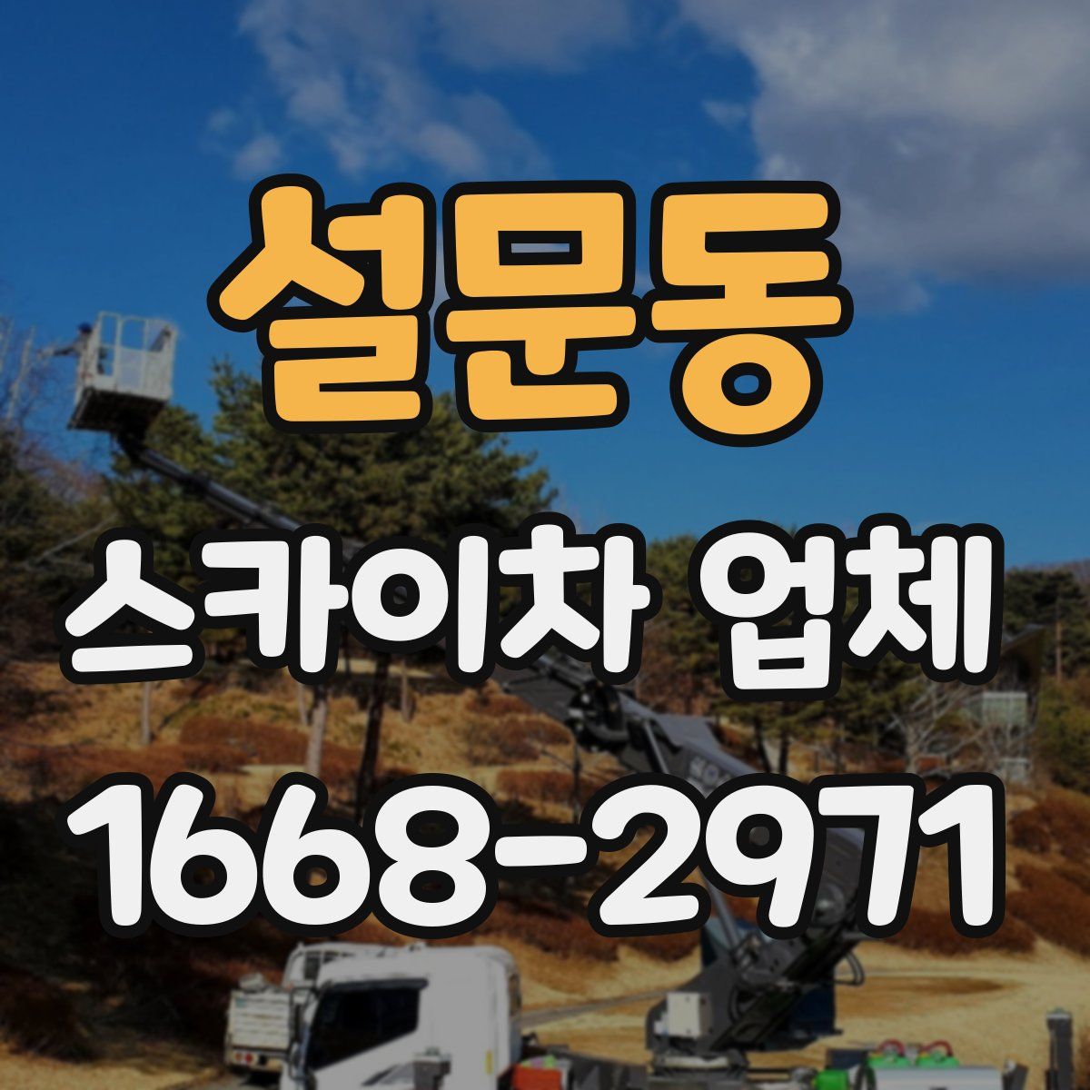 설문동 스카이차 업체