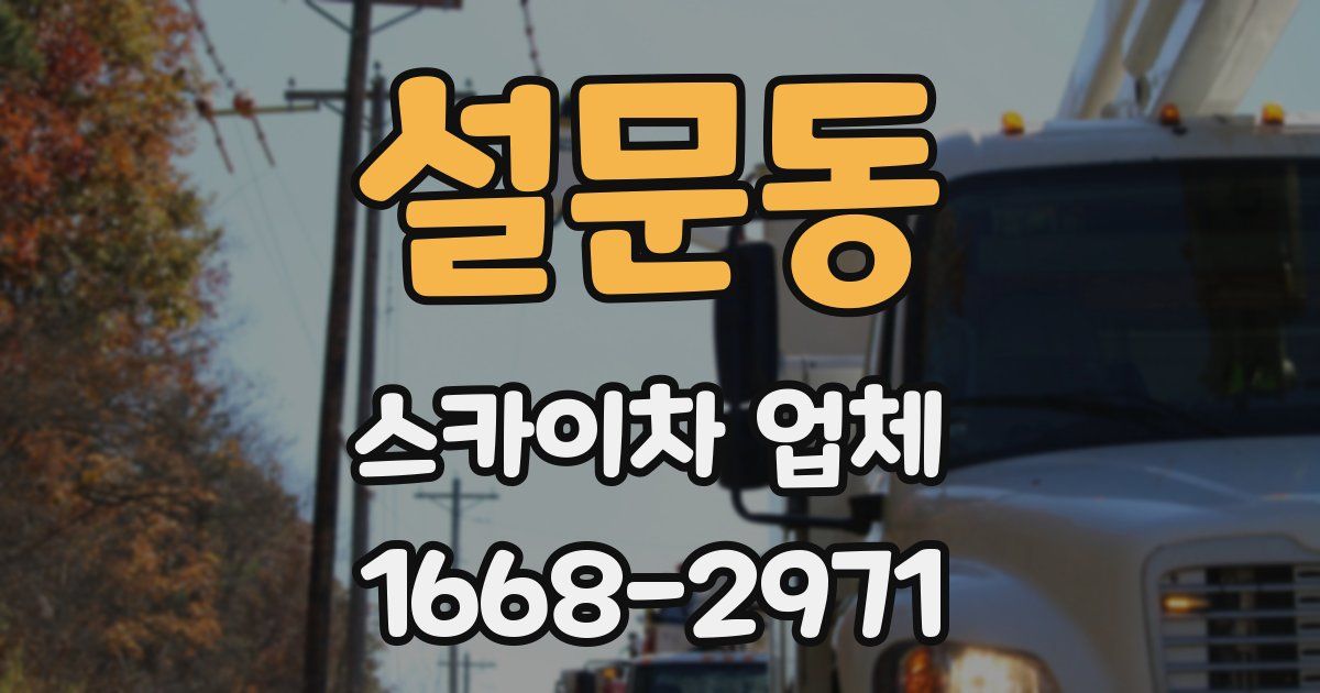 설문동 스카이차 업체