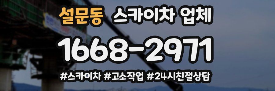 설문동 스카이차 업체
