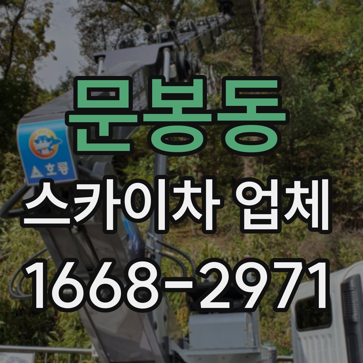 문봉동 스카이차 업체