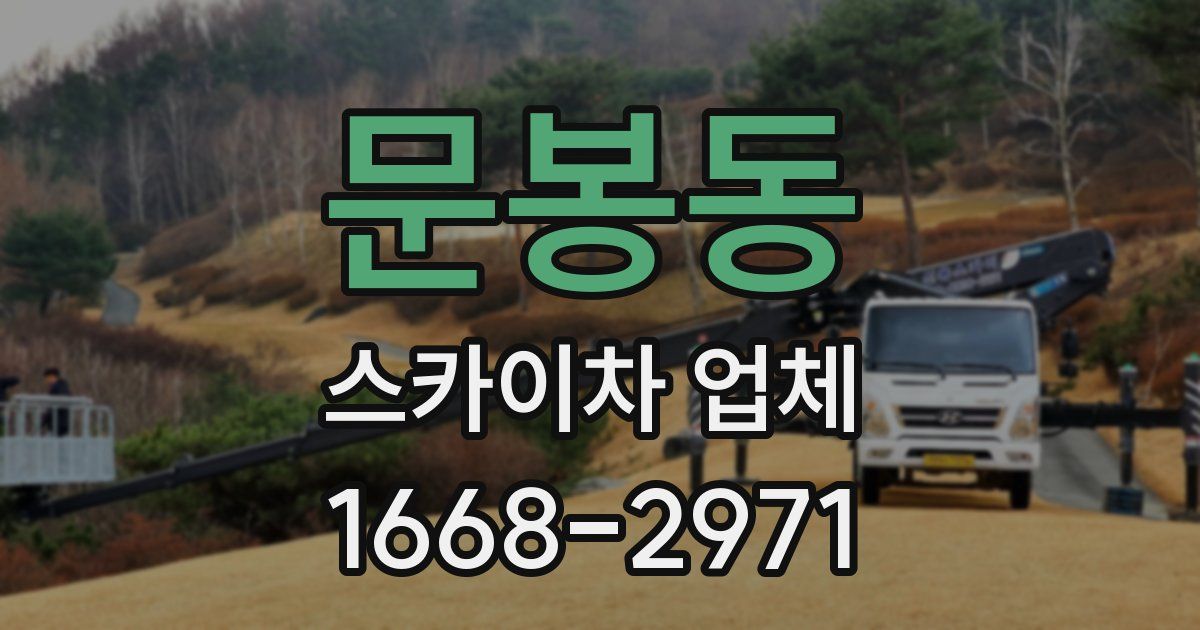 문봉동 스카이차 업체