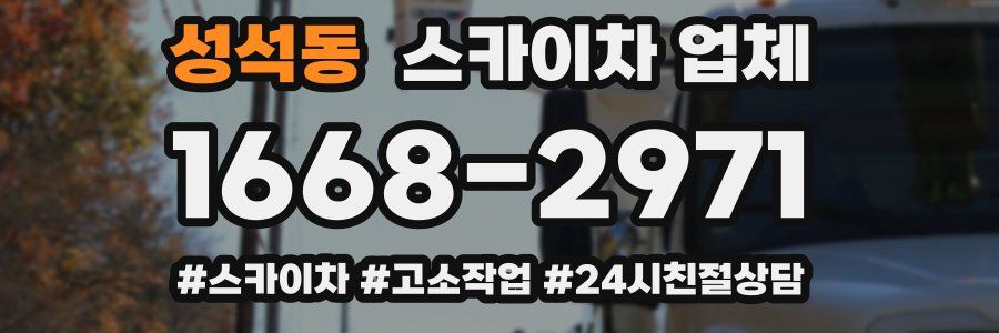 성석동 스카이차 업체
