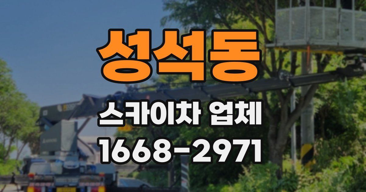 성석동 스카이차 업체