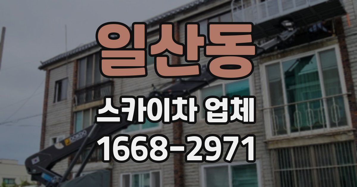 일산동 스카이차 업체