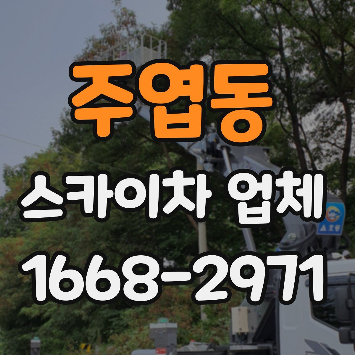 주엽동 스카이차 업체