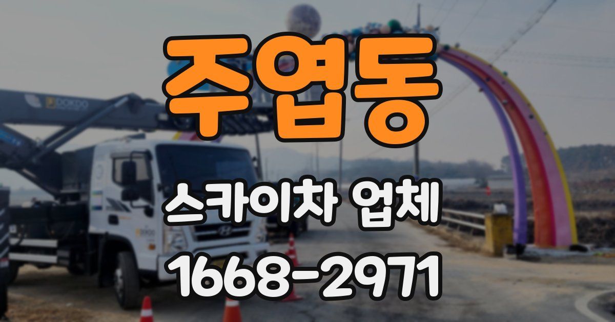 주엽동 스카이차 업체