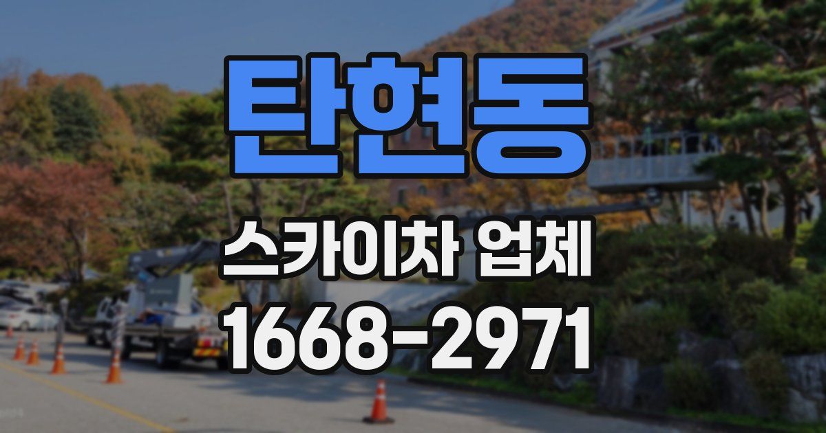 탄현동 스카이차 업체