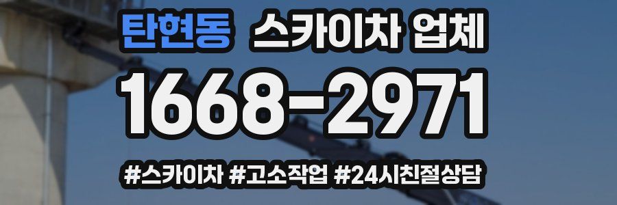 탄현동 스카이차 업체