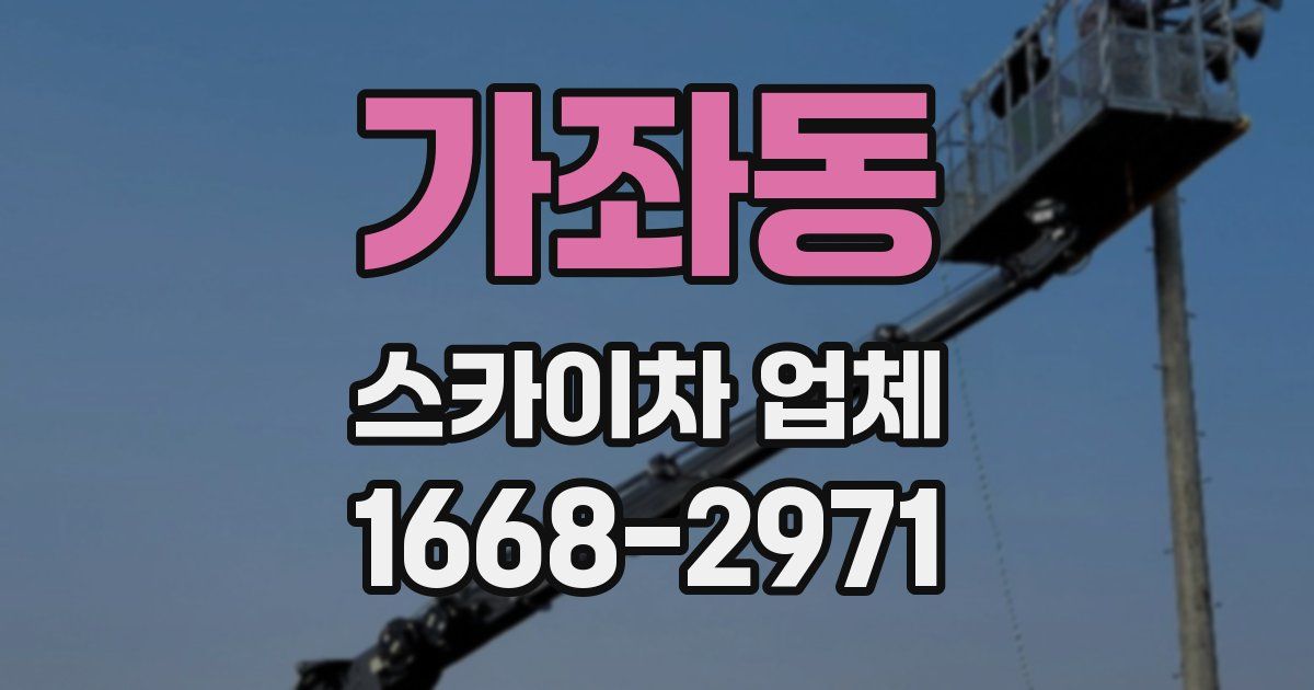 가좌동 스카이차 업체