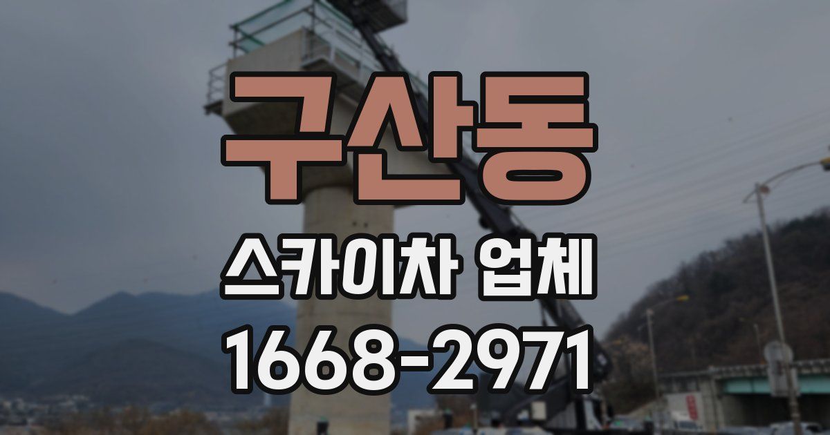 구산동 스카이차 업체