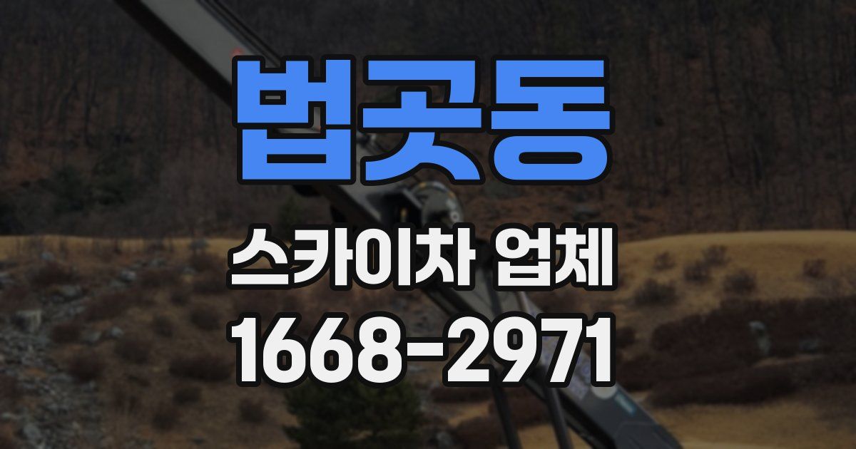 법곳동 스카이차 업체