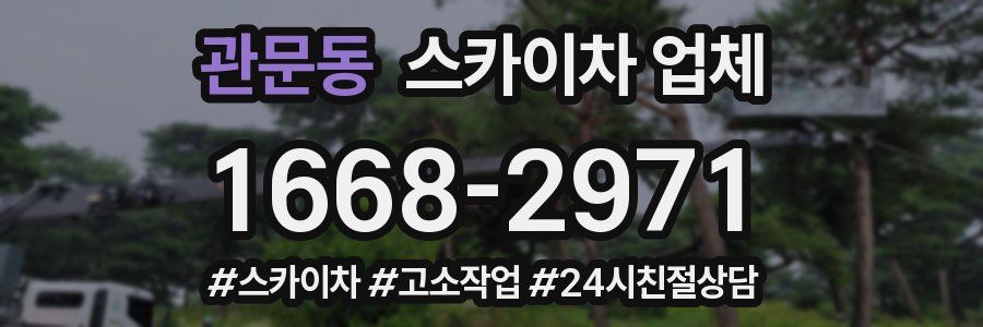 관문동 스카이차 업체