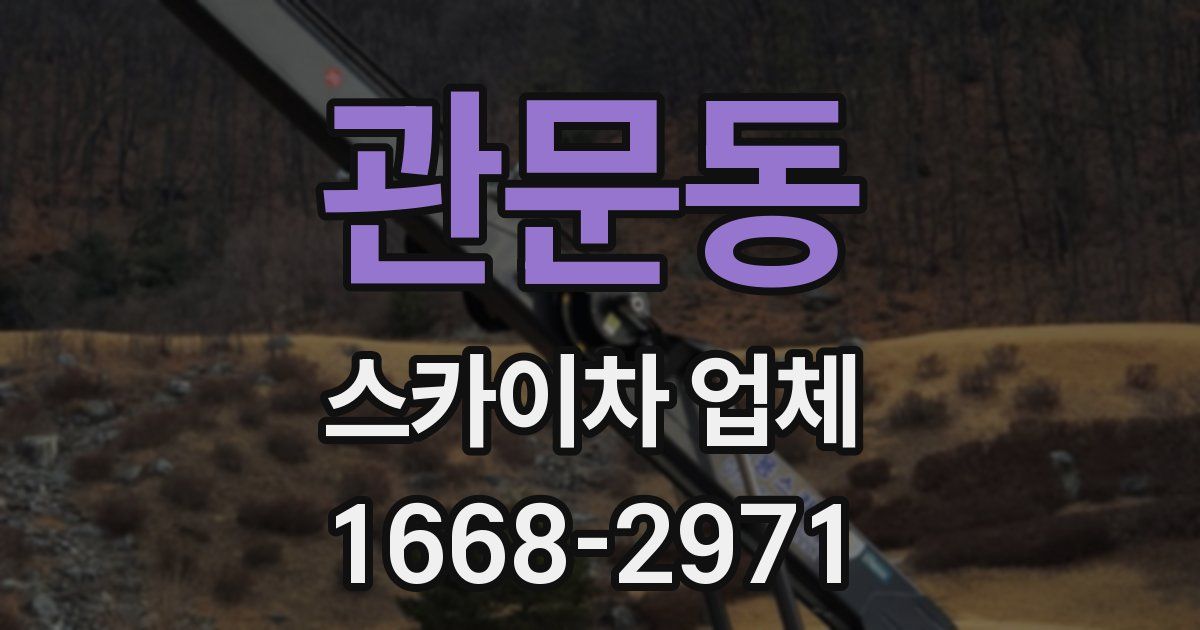 관문동 스카이차 업체