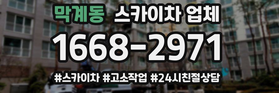 막계동 스카이차 업체