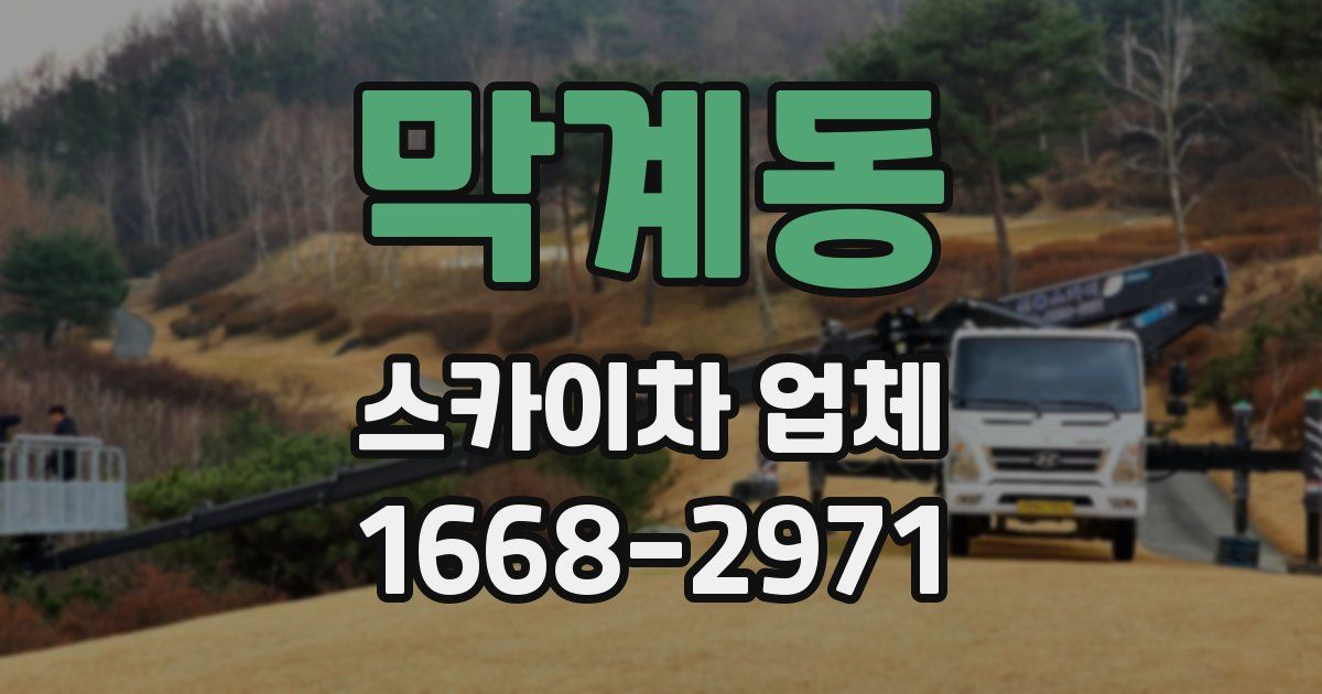 막계동 스카이차 업체