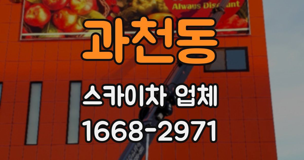 과천동 스카이차 업체