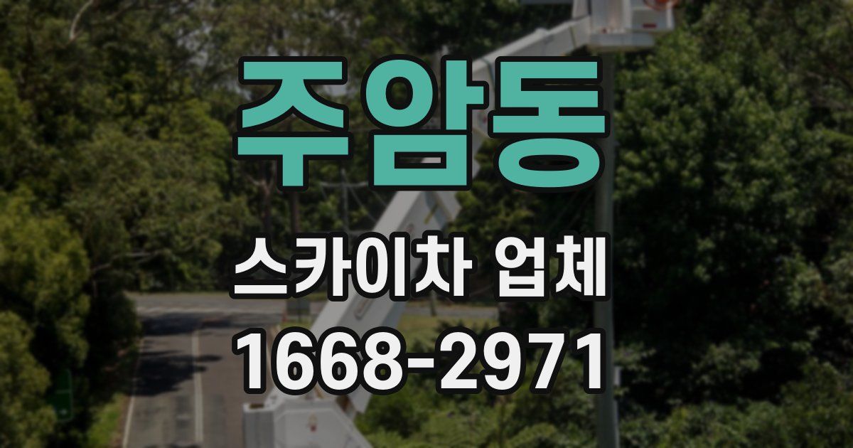 주암동 스카이차 업체