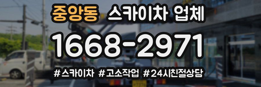 중앙동 스카이차 업체