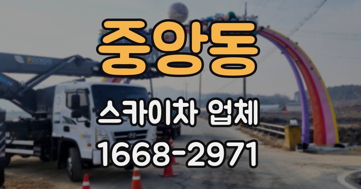 중앙동 스카이차 업체