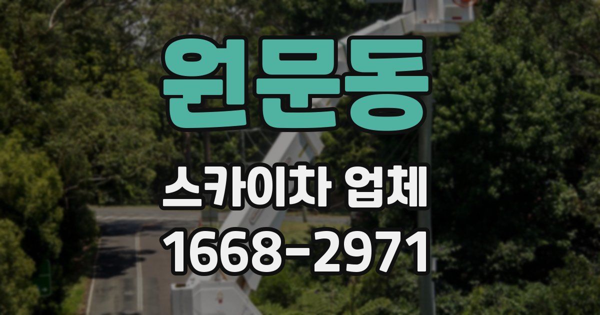 원문동 스카이차 업체
