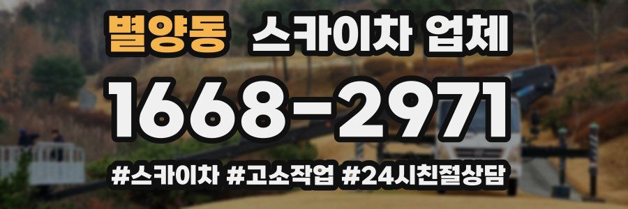 별양동 스카이차 업체