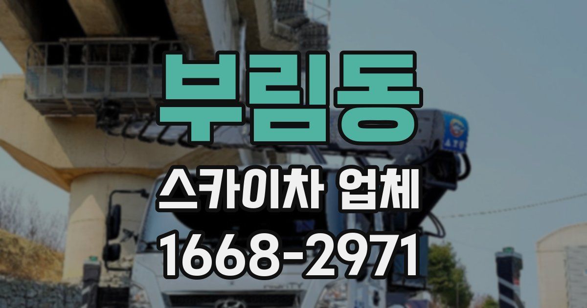 부림동 스카이차 업체