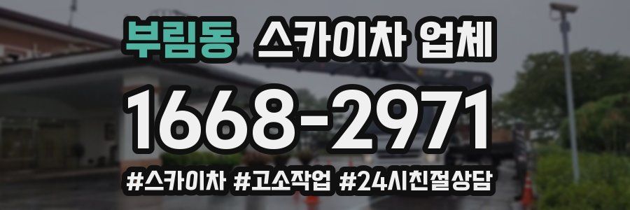 부림동 스카이차 업체