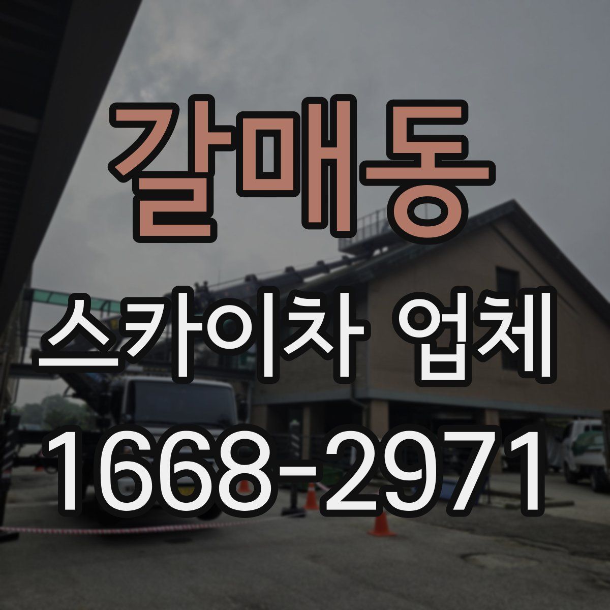갈매동 스카이차 업체