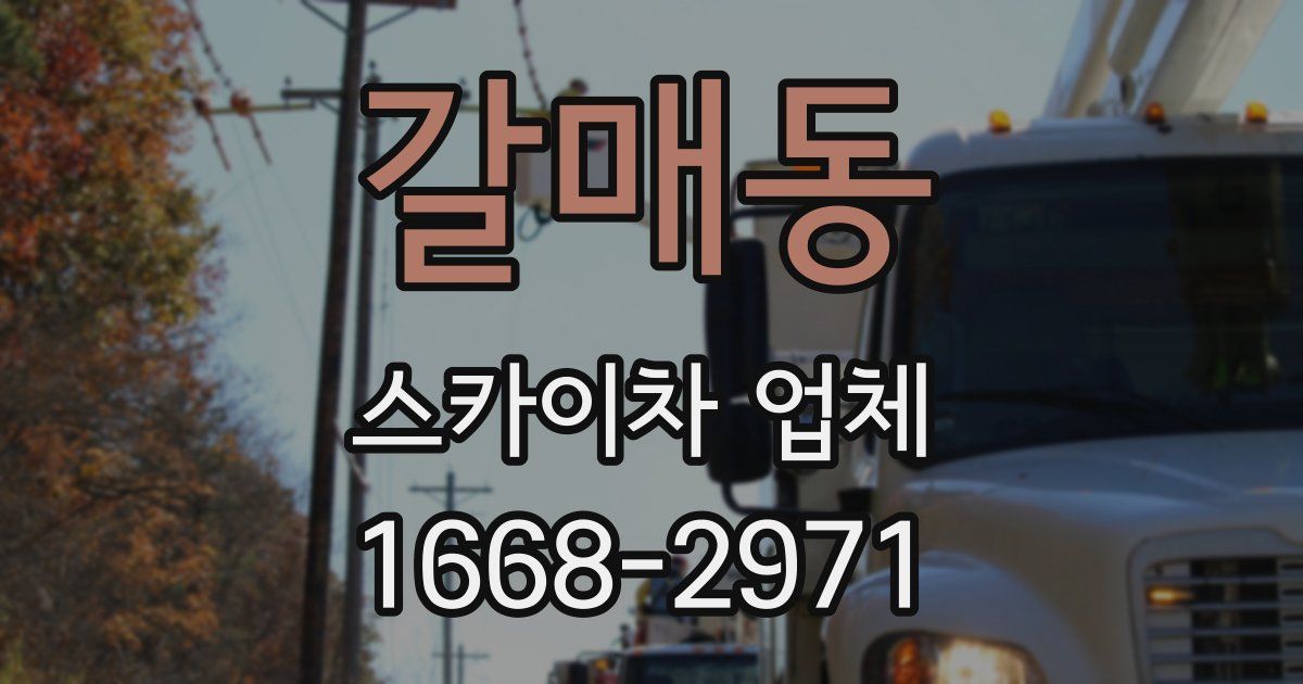 갈매동 스카이차 업체