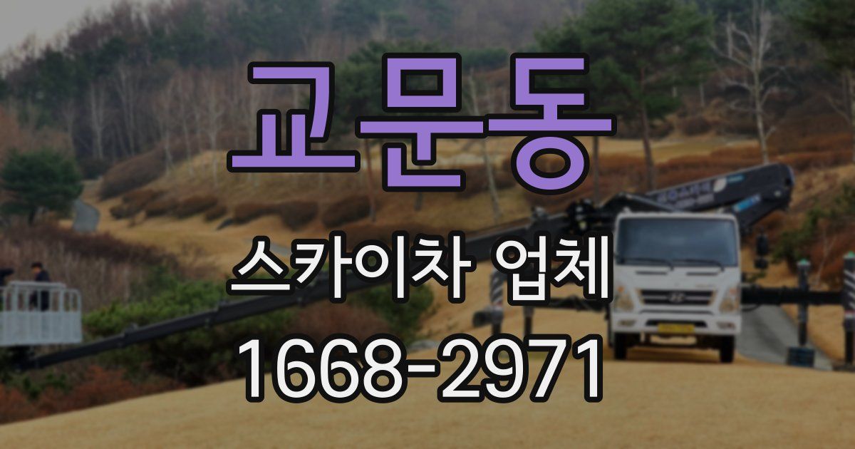 교문동 스카이차 업체