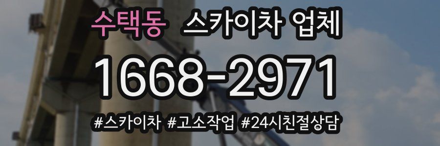 수택동 스카이차 업체