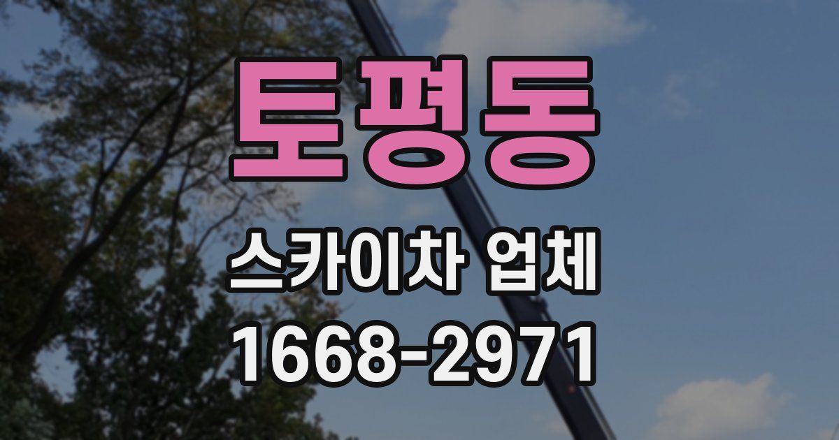 토평동 스카이차 업체