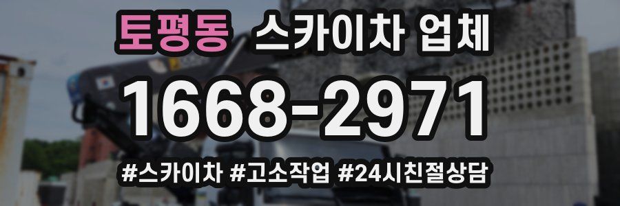 토평동 스카이차 업체