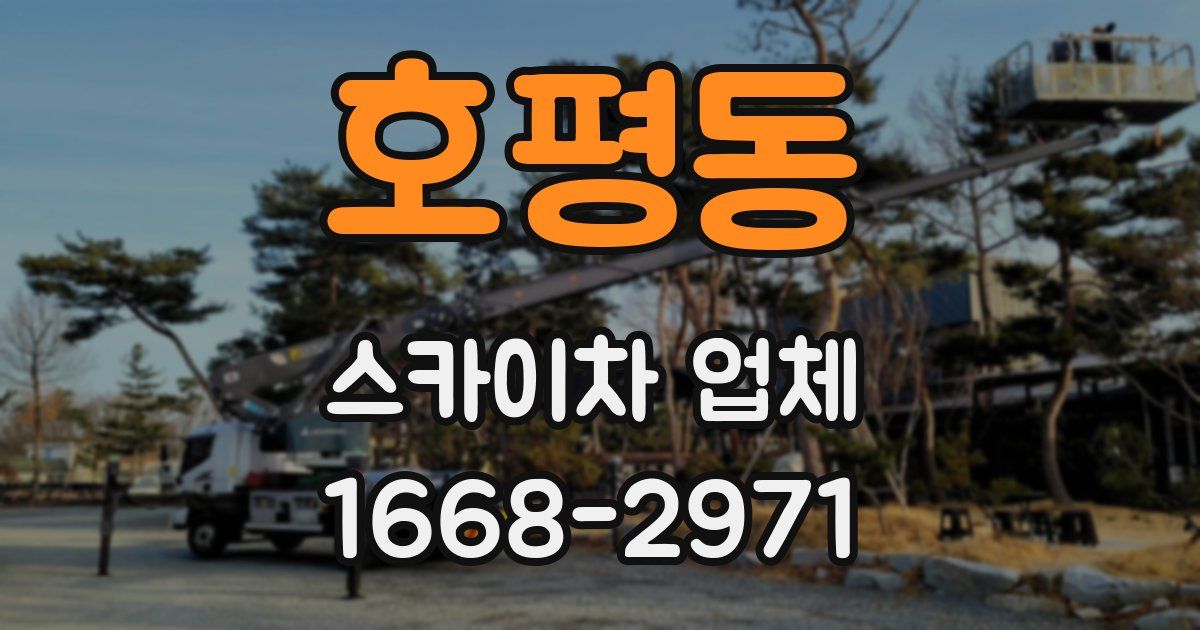 호평동 스카이차 업체