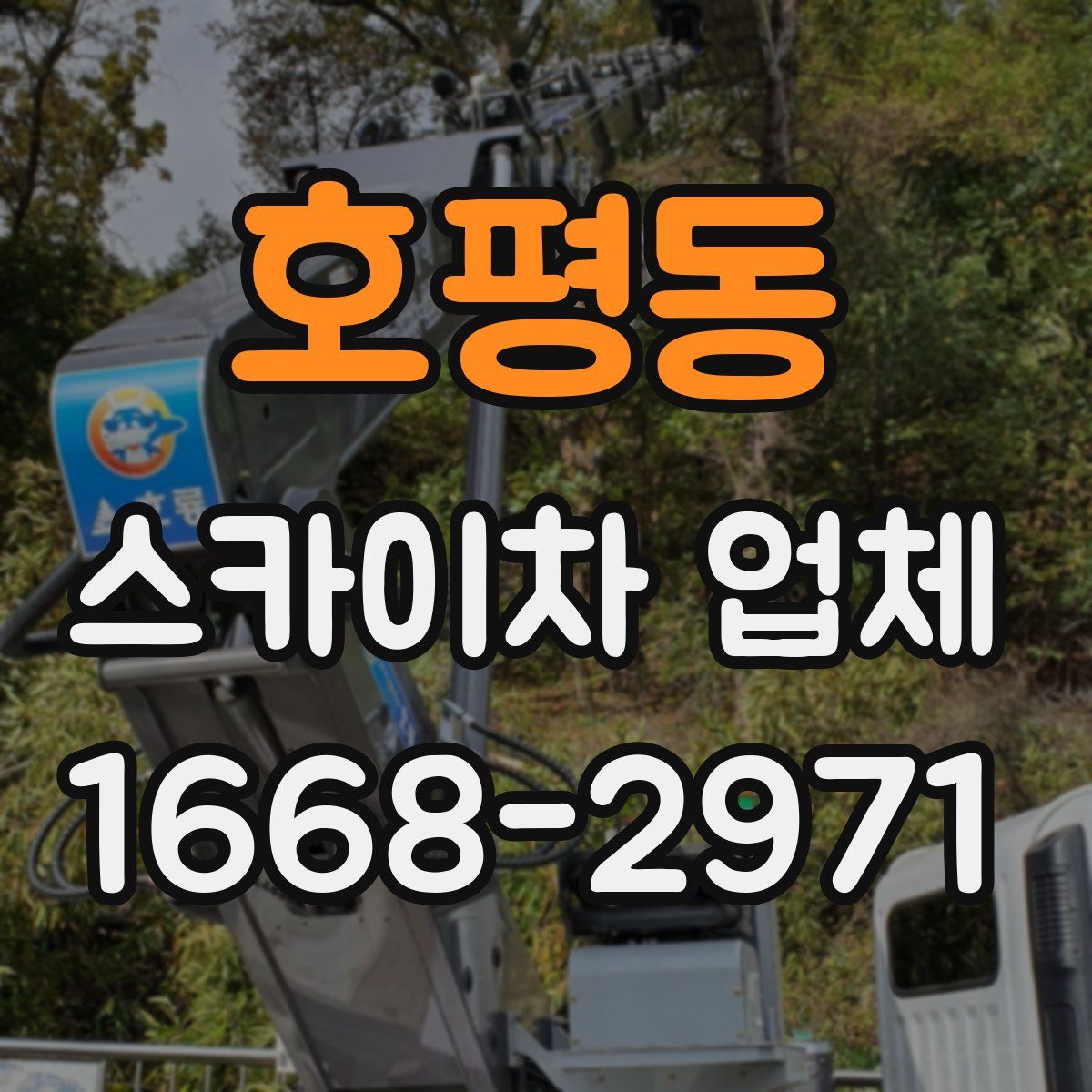 호평동 스카이차 업체