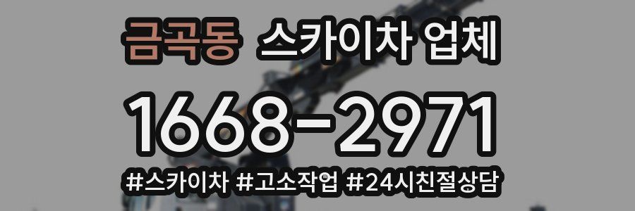 금곡동 스카이차 업체
