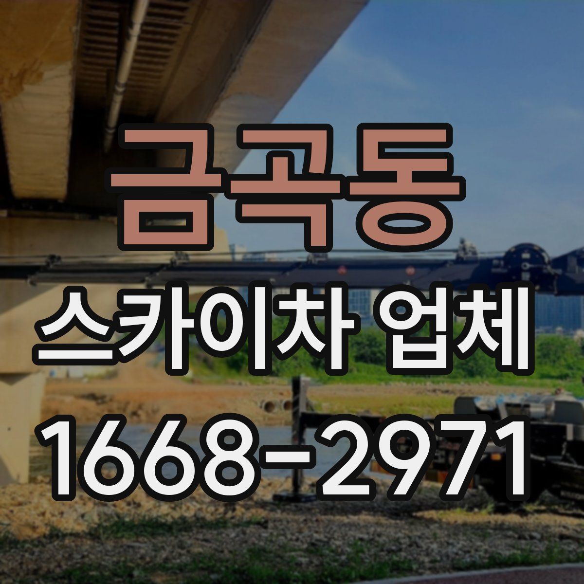 금곡동 스카이차 업체