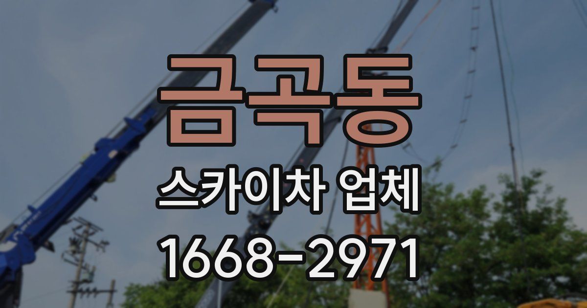 금곡동 스카이차 업체