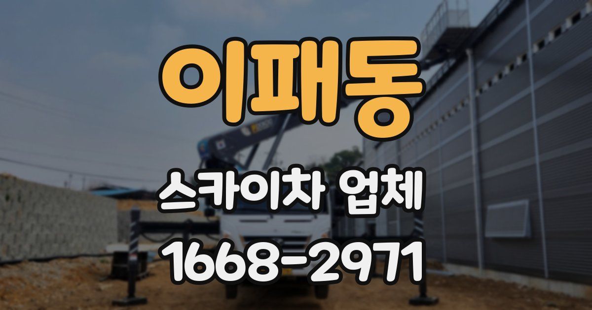 이패동 스카이차 업체