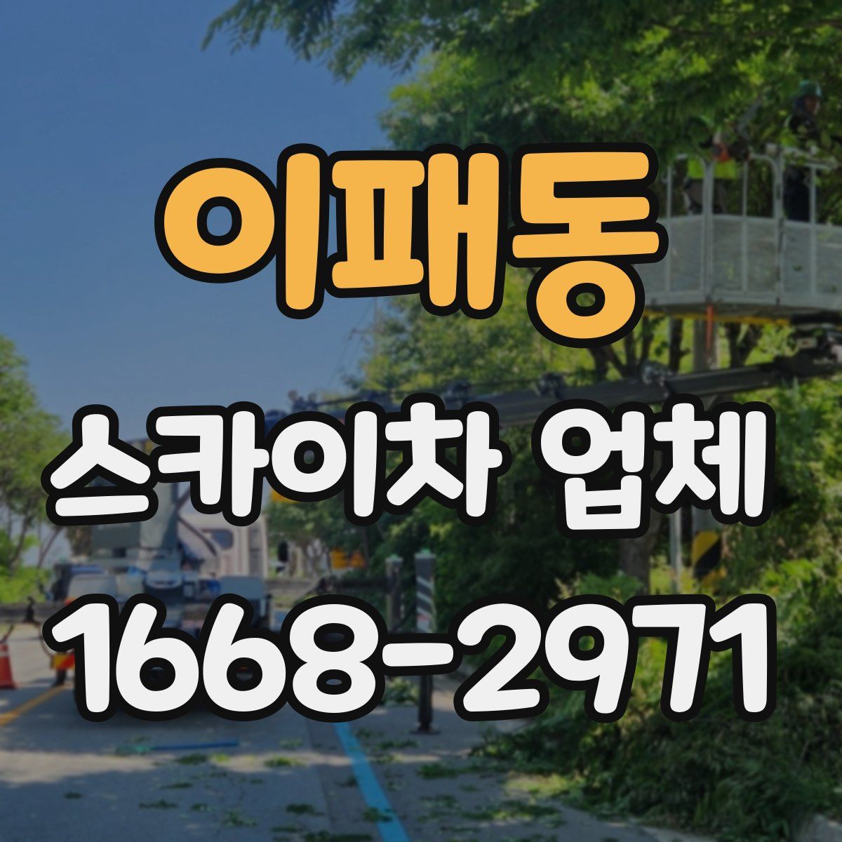 이패동 스카이차 업체