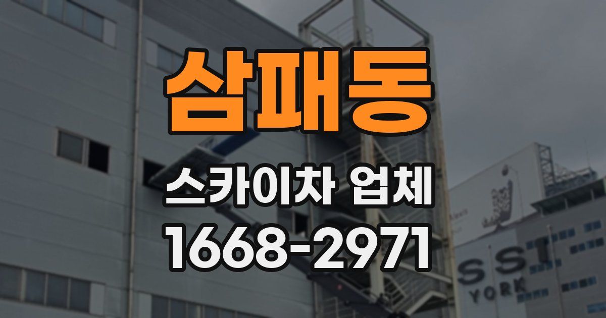 삼패동 스카이차 업체