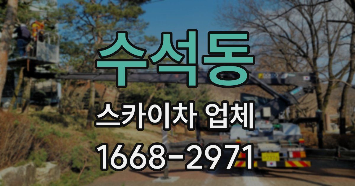 수석동 스카이차 업체